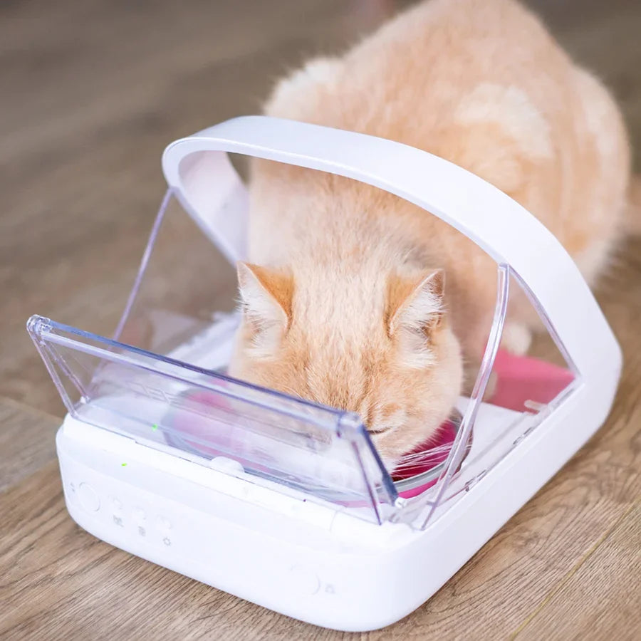 SureFeed Microchip Pet Feeder – White