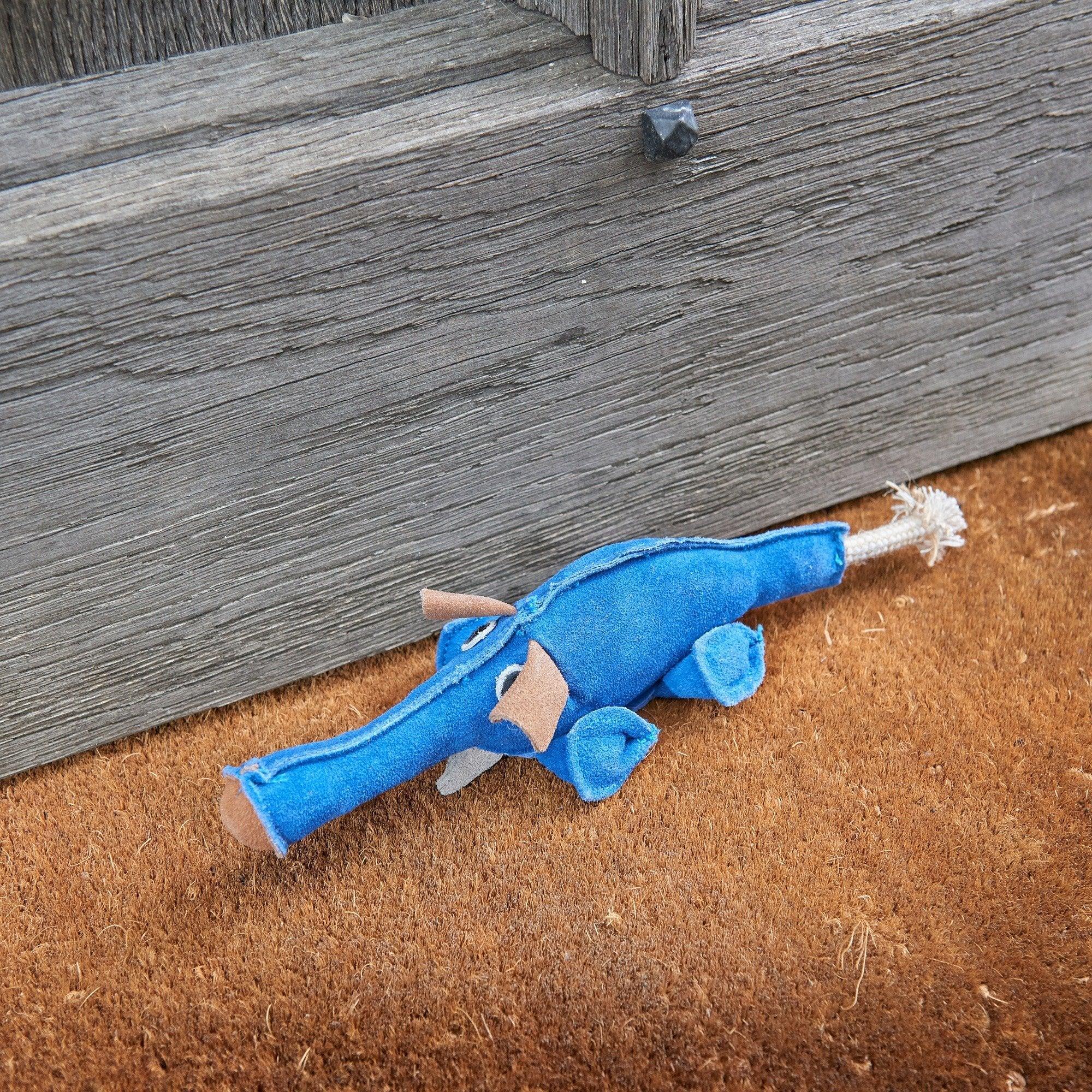 Dino the Dyno Fish Eco Dog Toy